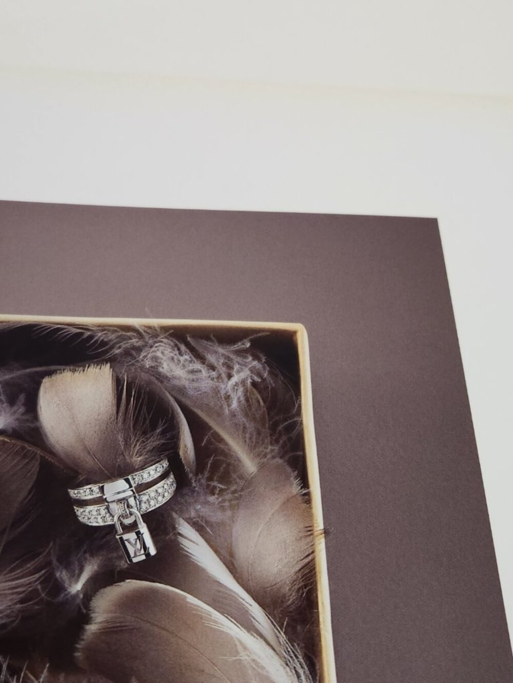 Louis Vuitton 2013 Holiday Christmas Catalog Brochure Geese Luxury Photography - Picture 7 of 7